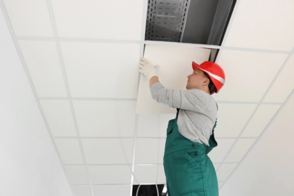 Basement Ceiling